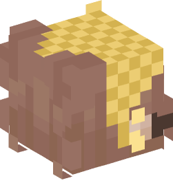 Minecraft head — People