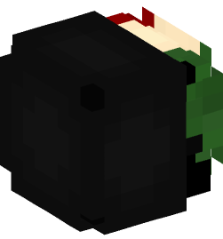 Minecraft head — People