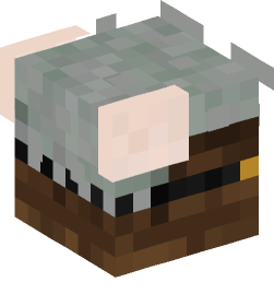 Minecraft head — People