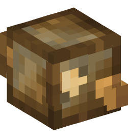 Minecraft head — Decor