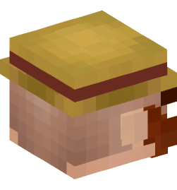 Minecraft head — People