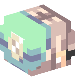 Minecraft head — People