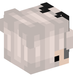 Minecraft head — People