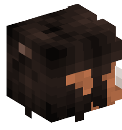 Minecraft head — Creatures