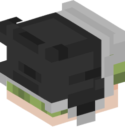 Minecraft head — People