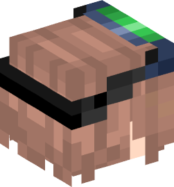 Minecraft head — People