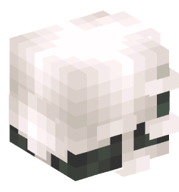 Minecraft head — Decor