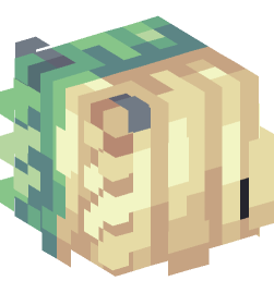 Minecraft head — People