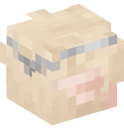 Minecraft head — Creatures