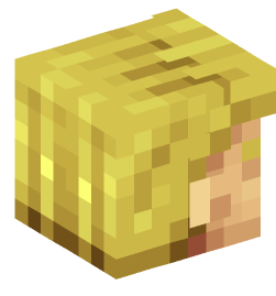 Minecraft head — People