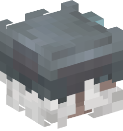 Minecraft head — People