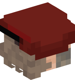 Minecraft head — People