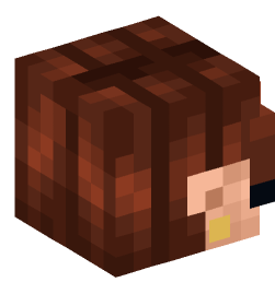 Minecraft head — People