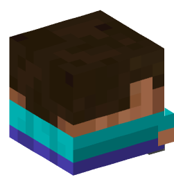 Minecraft head — Decor