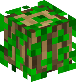 Minecraft head — Blocks