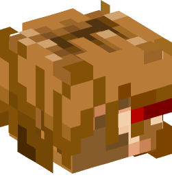 Minecraft head — People