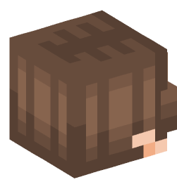 Minecraft head — People