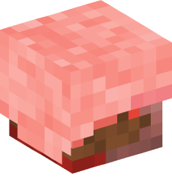 Minecraft head — People