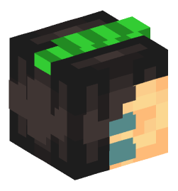 Minecraft head — Creatures