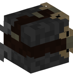 Minecraft head — People