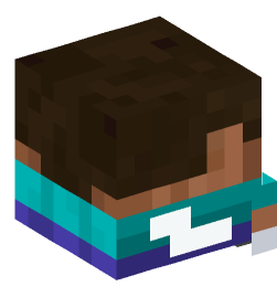 Minecraft head — Decor