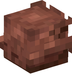 Minecraft head — Animals