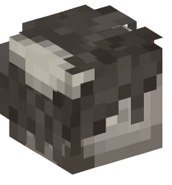 Minecraft head — Creatures