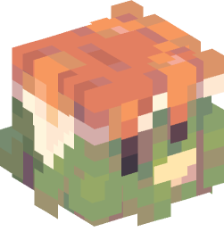 Minecraft head — Creatures