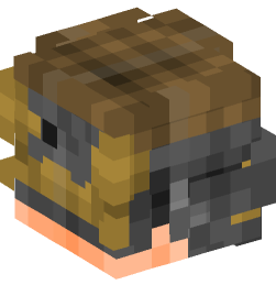 Minecraft head — People