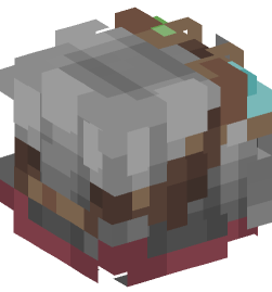 Minecraft head — People