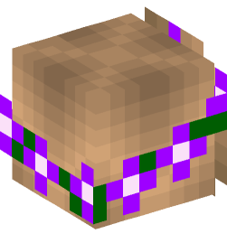 Minecraft head — People