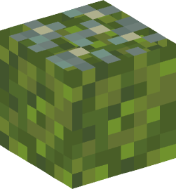 Minecraft head — Blocks