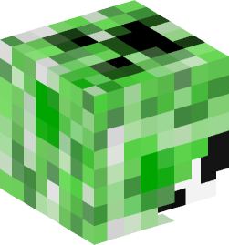 Minecraft head — People