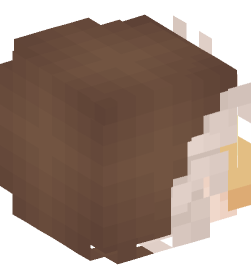 Minecraft head — People