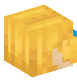 Minecraft head — Creatures