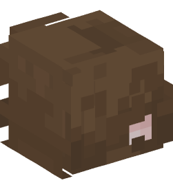 Minecraft head — People