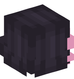 Minecraft head — People