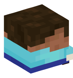 Minecraft head — Decor