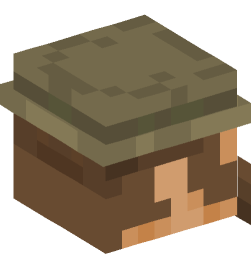 Minecraft head — People