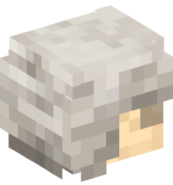 Minecraft head — People