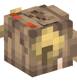 Minecraft head — People