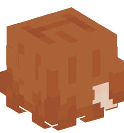Голова Майнкрафт — Люди