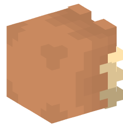 Minecraft head — Monsters