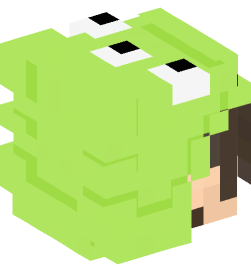 Minecraft head — People