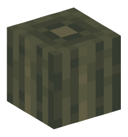 Minecraft head — Blocks