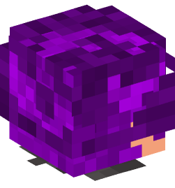 Minecraft head — People