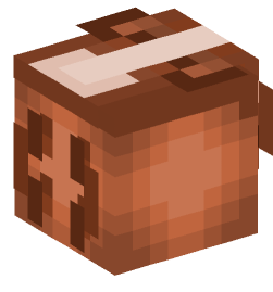 Minecraft head — Decor