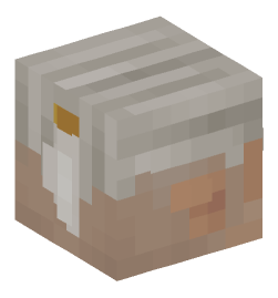 Minecraft head — People