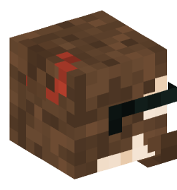 Minecraft head — People