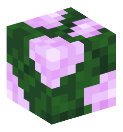 Minecraft head — Plants